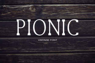 A Review of Pionic: A Simple and Serious Editorial Font