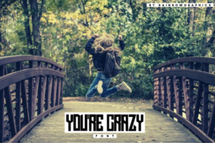 Adding Creative Charm with the You re Crazy Font