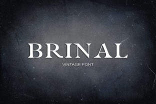Brinal: The Playful Serif Font for Upgrading Your Small Business Brand