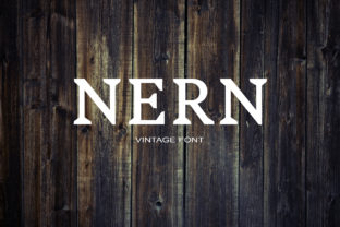 Nern Font: A Serif Typeface for Campaign Creatives