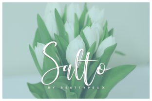 Salto Font: A Dynamic Script for Authentic Campaigns