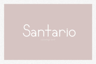 Santario: A Clean, Modern Serif Font for Small Business Branding