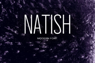 The Modern Editorial Flow of the Natish Font